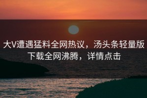 大V遭遇猛料全网热议，汤头条轻量版下载全网沸腾，详情点击