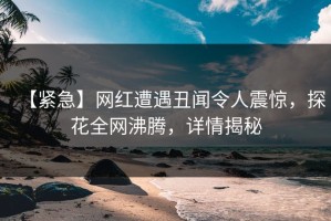 【紧急】网红遭遇丑闻令人震惊，探花全网沸腾，详情揭秘