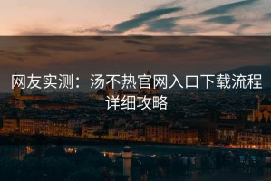 网友实测：汤不热官网入口下载流程详细攻略