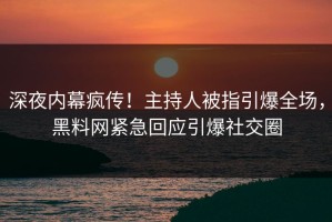 深夜内幕疯传！主持人被指引爆全场，黑料网紧急回应引爆社交圈
