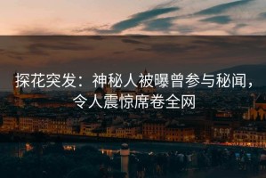 探花突发：神秘人被曝曾参与秘闻，令人震惊席卷全网