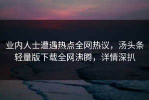 业内人士遭遇热点全网热议，汤头条轻量版下载全网沸腾，详情深扒