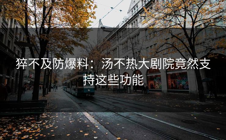 猝不及防爆料：汤不热大剧院竟然支持这些功能