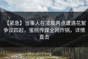 【紧急】当事人在凌晨两点遭遇花絮 争议四起，蜜桃传媒全网炸锅，详情直击