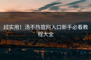 超实用！汤不热官网入口新手必看教程大全