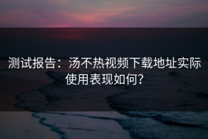 测试报告：汤不热视频下载地址实际使用表现如何？
