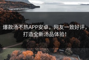 爆款汤不热APP安卓，网友一致好评，打造全新汤品体验！