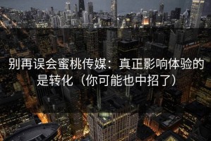 别再误会蜜桃传媒：真正影响体验的是转化（你可能也中招了）