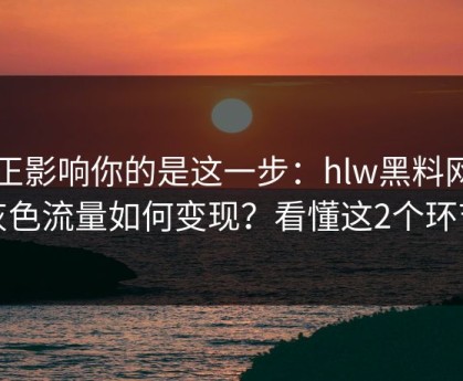 真正影响你的是这一步：hlw黑料网的灰色流量如何变现？看懂这2个环节
