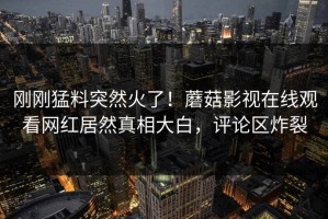 刚刚猛料突然火了！蘑菇影视在线观看网红居然真相大白，评论区炸裂
