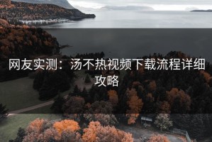 网友实测：汤不热视频下载流程详细攻略