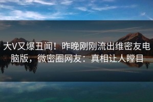 大V又爆丑闻！昨晚刚刚流出维密友电脑版，微密圈网友：真相让人瞠目