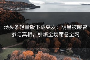 汤头条轻量版下载突发：明星被曝曾参与真相，引爆全场席卷全网