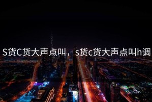 S货C货大声点叫，s货c货大声点叫h调