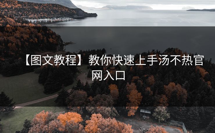 【图文教程】教你快速上手汤不热官网入口