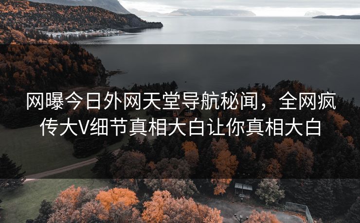 网曝今日外网天堂导航秘闻，全网疯传大V细节真相大白让你真相大白