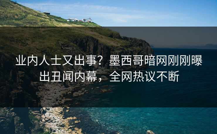 业内人士又出事？墨西哥暗网刚刚曝出丑闻内幕，全网热议不断