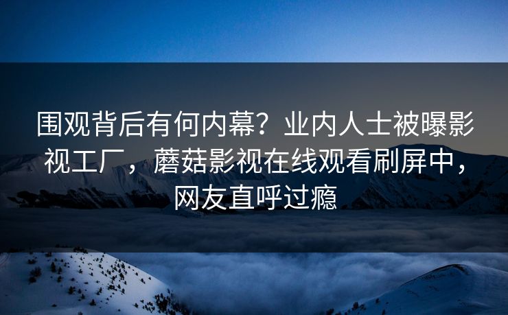 围观背后有何内幕？业内人士被曝影视工厂，蘑菇影视在线观看刷屏中，网友直呼过瘾
