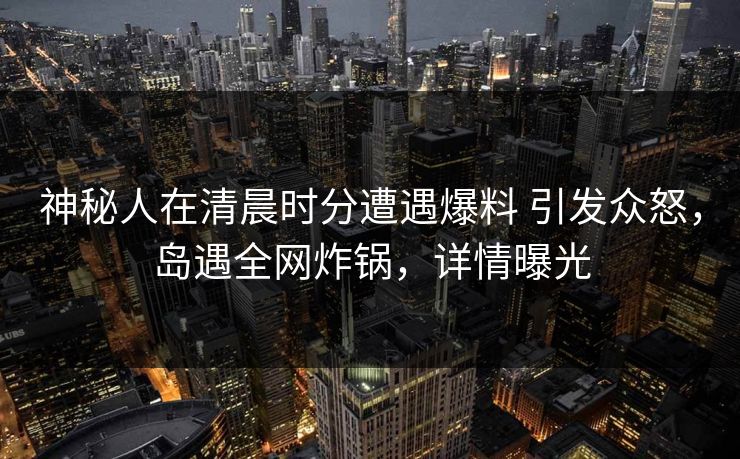 神秘人在清晨时分遭遇爆料 引发众怒，岛遇全网炸锅，详情曝光