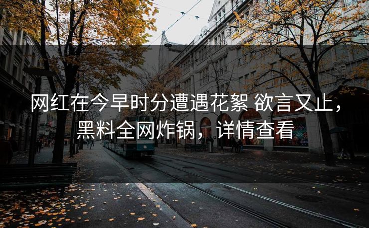 网红在今早时分遭遇花絮 欲言又止，黑料全网炸锅，详情查看