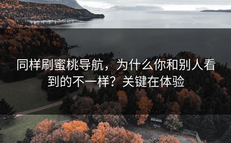 同样刷蜜桃导航，为什么你和别人看到的不一样？关键在体验